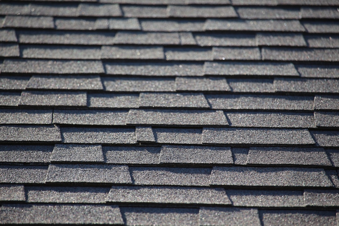 Shingle Roof Repair Houston: What You Need to Know to Protect Your Home shingle-roof-repair-houston-1
