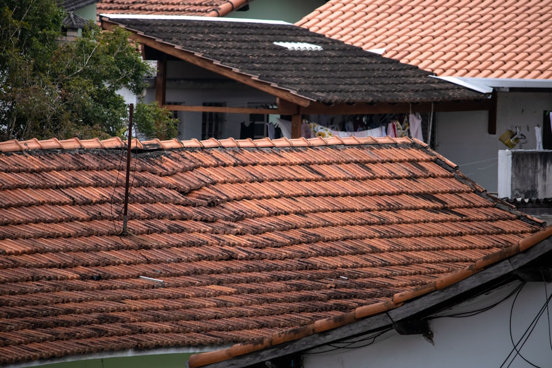 Roof Damage After Hurricane Tampa: What Every Homeowner Needs to Know roof-damage-after-hurricane-tampa