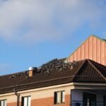 storm-damage-roof-repair-wesley-chapel